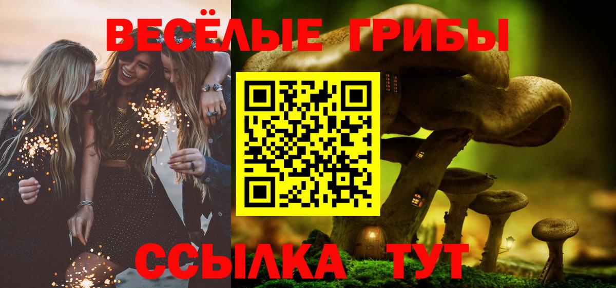 Псилоцибиновые грибы мицелий  Вход с VPN  Лесной 